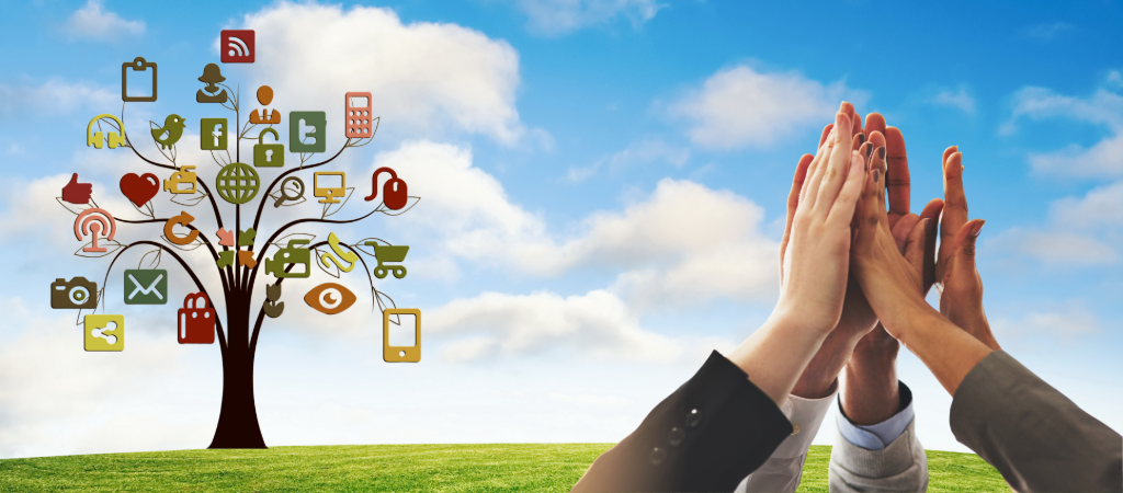 Why Business Structure Matters