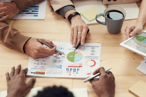 Profirm Business strategy Profirm Business strategy