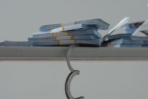 Profirm Enterprise risk and controls